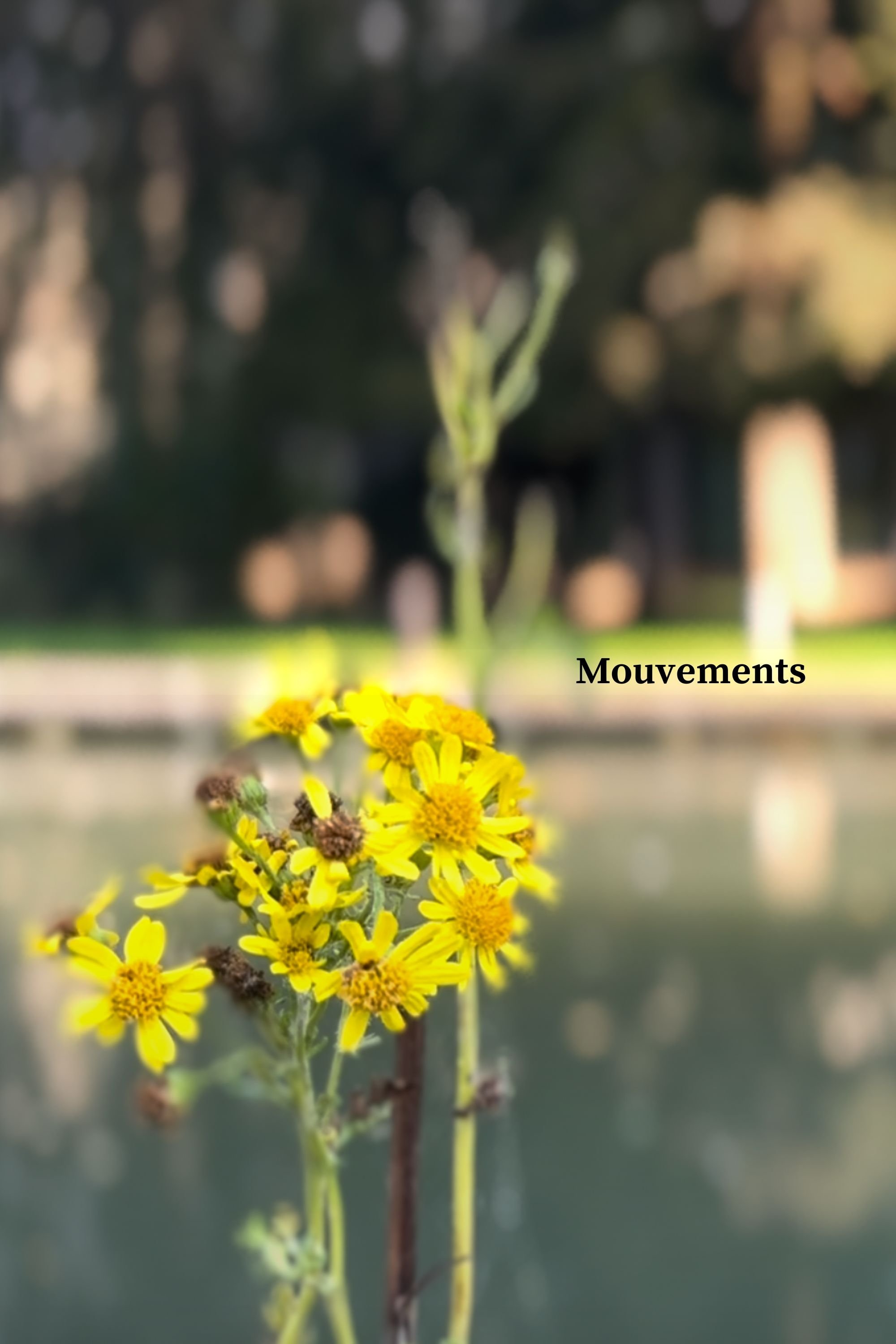 Poster de Mouvements