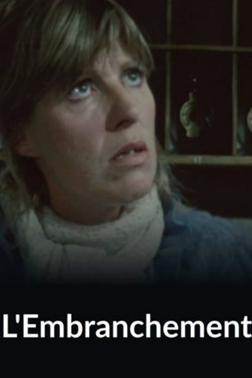 Affiche du film L'embranchement