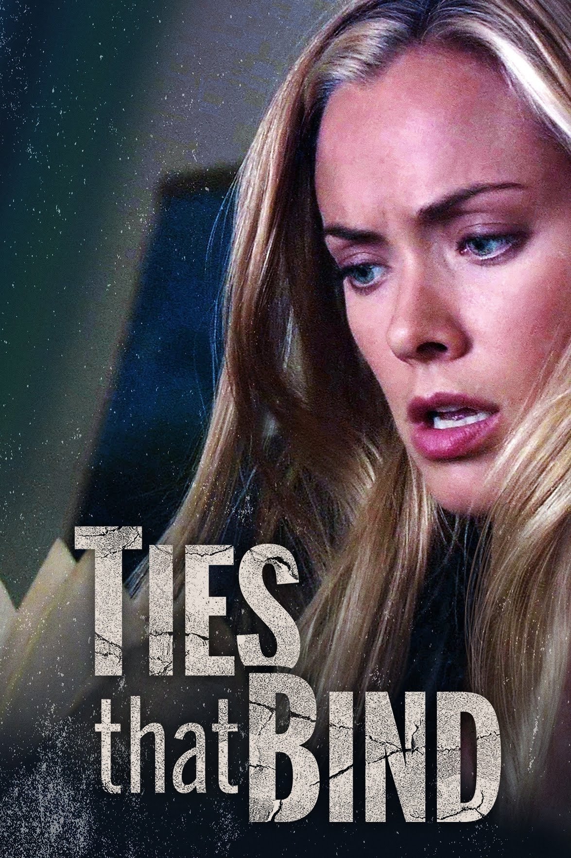 Poster de A Suspeita