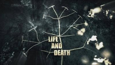 Life and Death