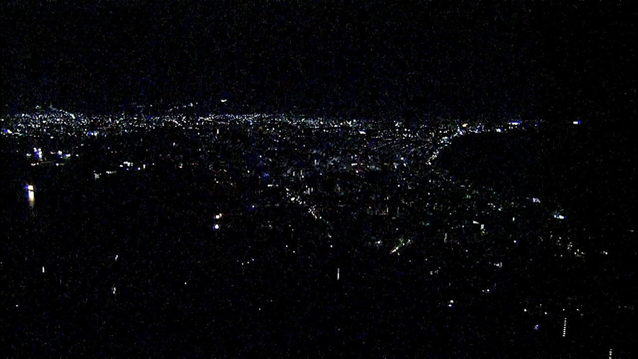 Large-Scale Blackouts