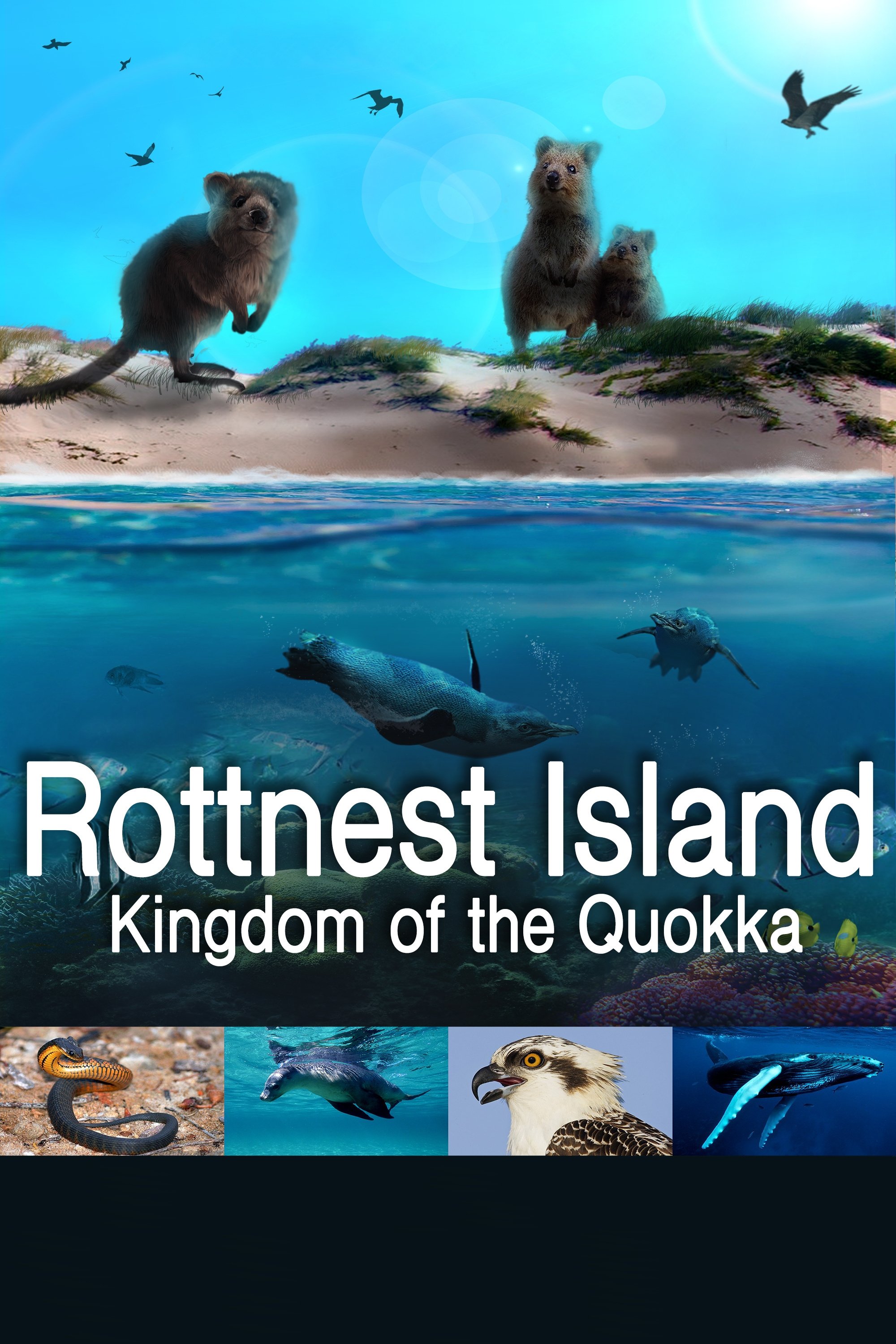 Poster de Rottnest Island: Kingdom Of The Quokka