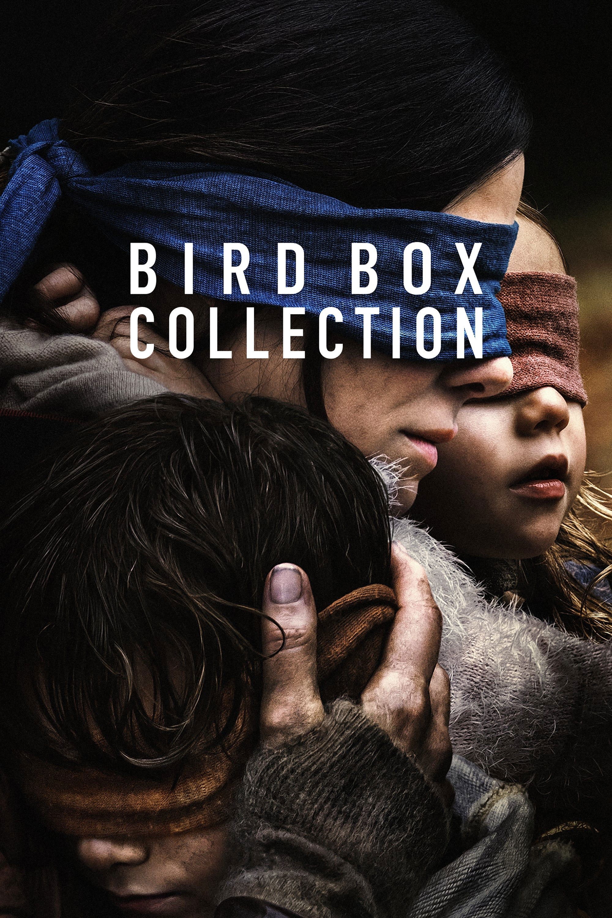 Poster of Bird Box Collection
