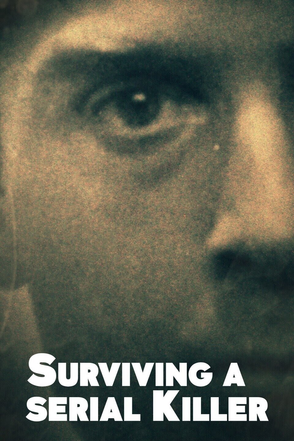 Poster de Surviving a Serial Killer