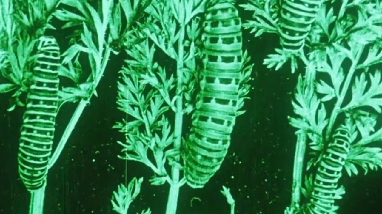 Water, Klimaat en Film