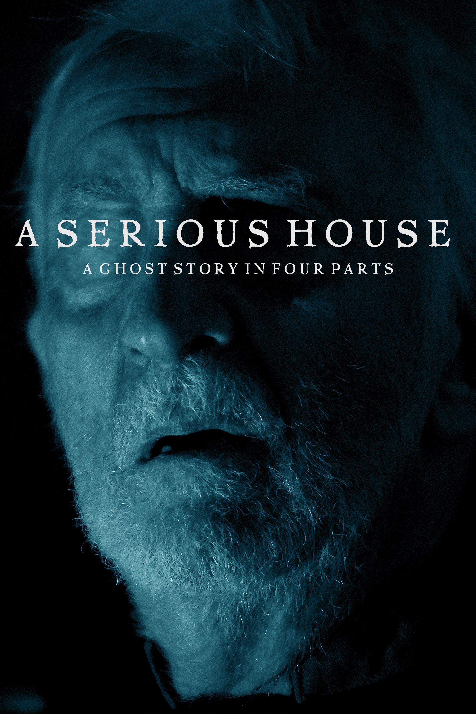 Poster de A Serious House