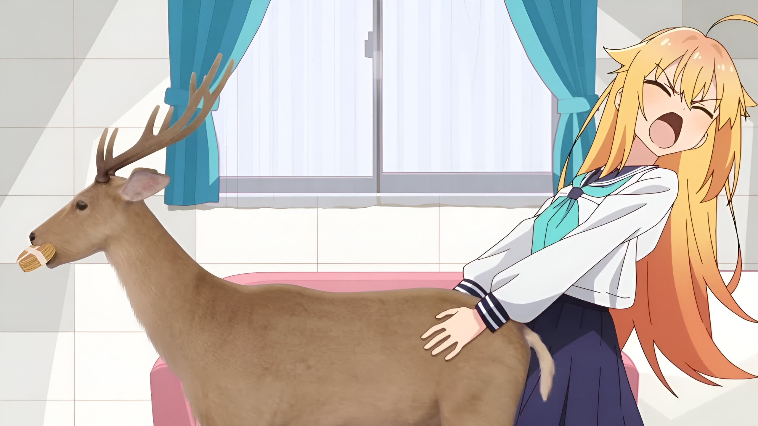 Backdrop image