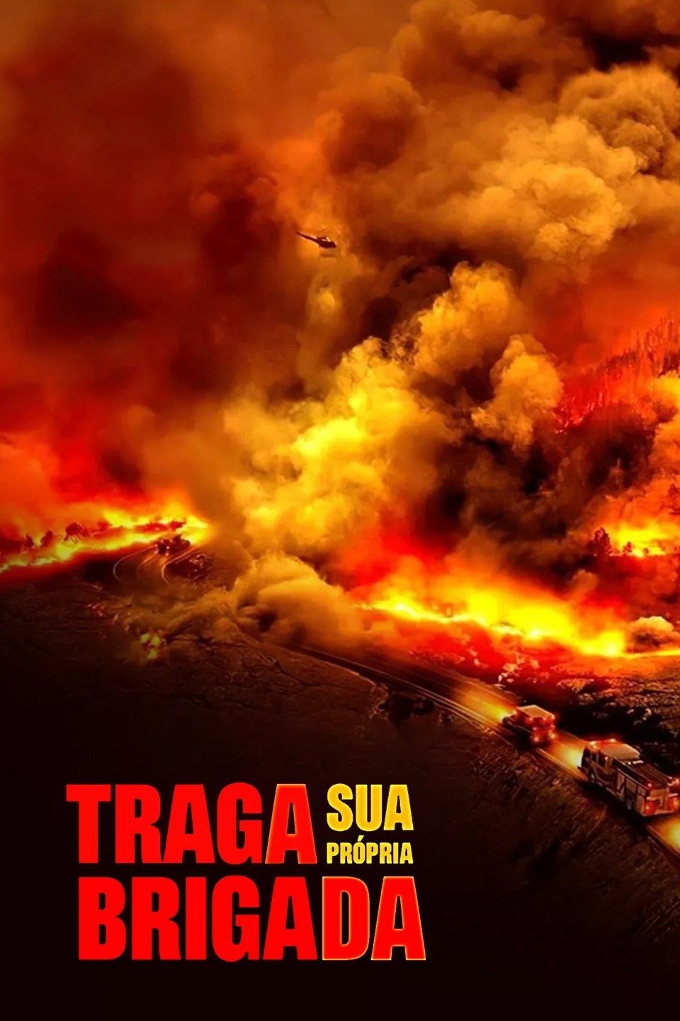Poster de Traga Sua Própria Brigada