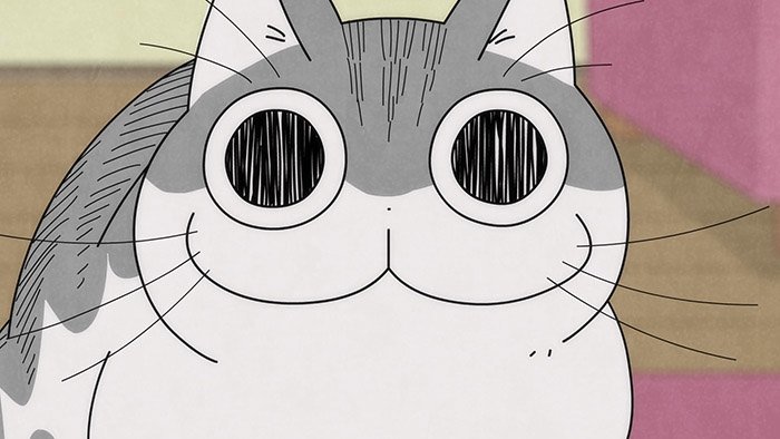 Night 30: The Cat Is Staring at Something