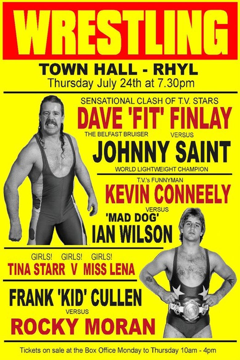 Poster de The Fit Finlays