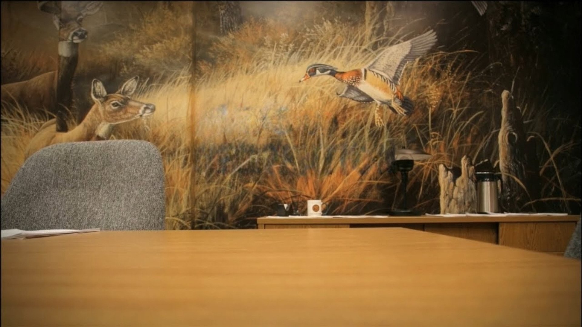 Backdrop image