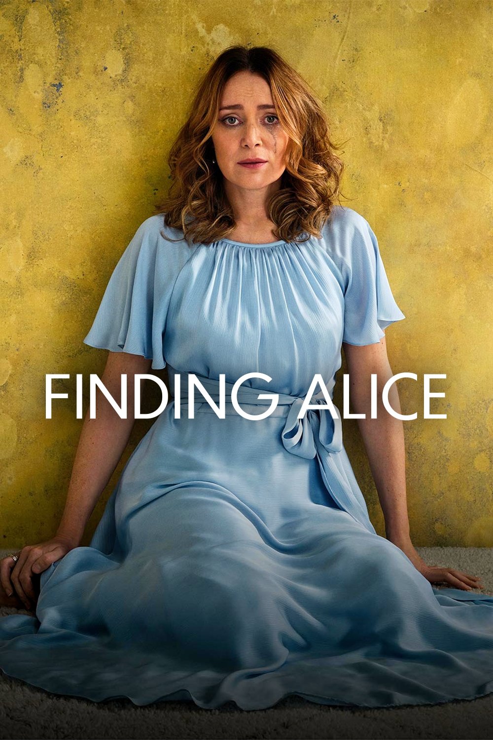 Poster de Finding Alice