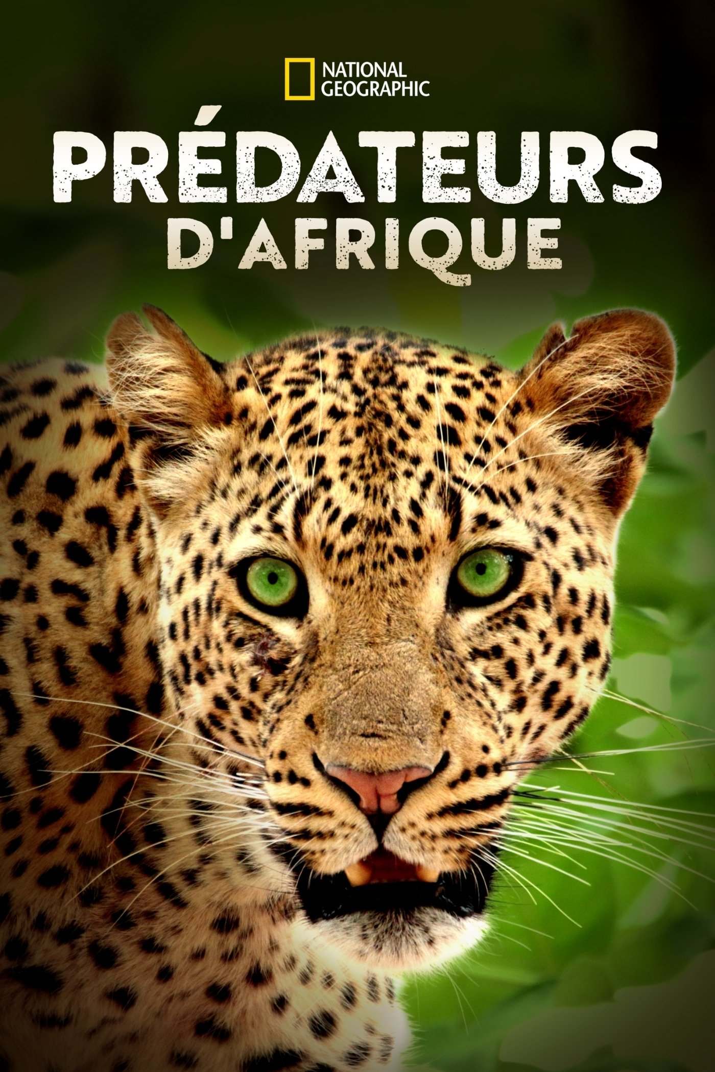 Prédateurs d'Afrique