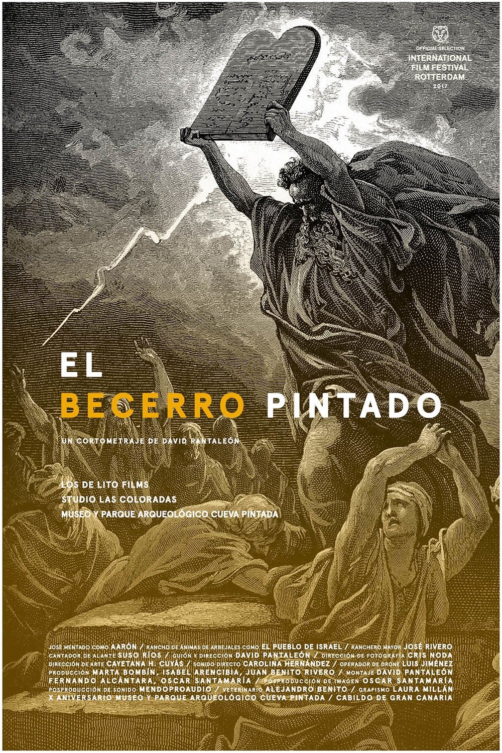 Poster de El becerro pintado