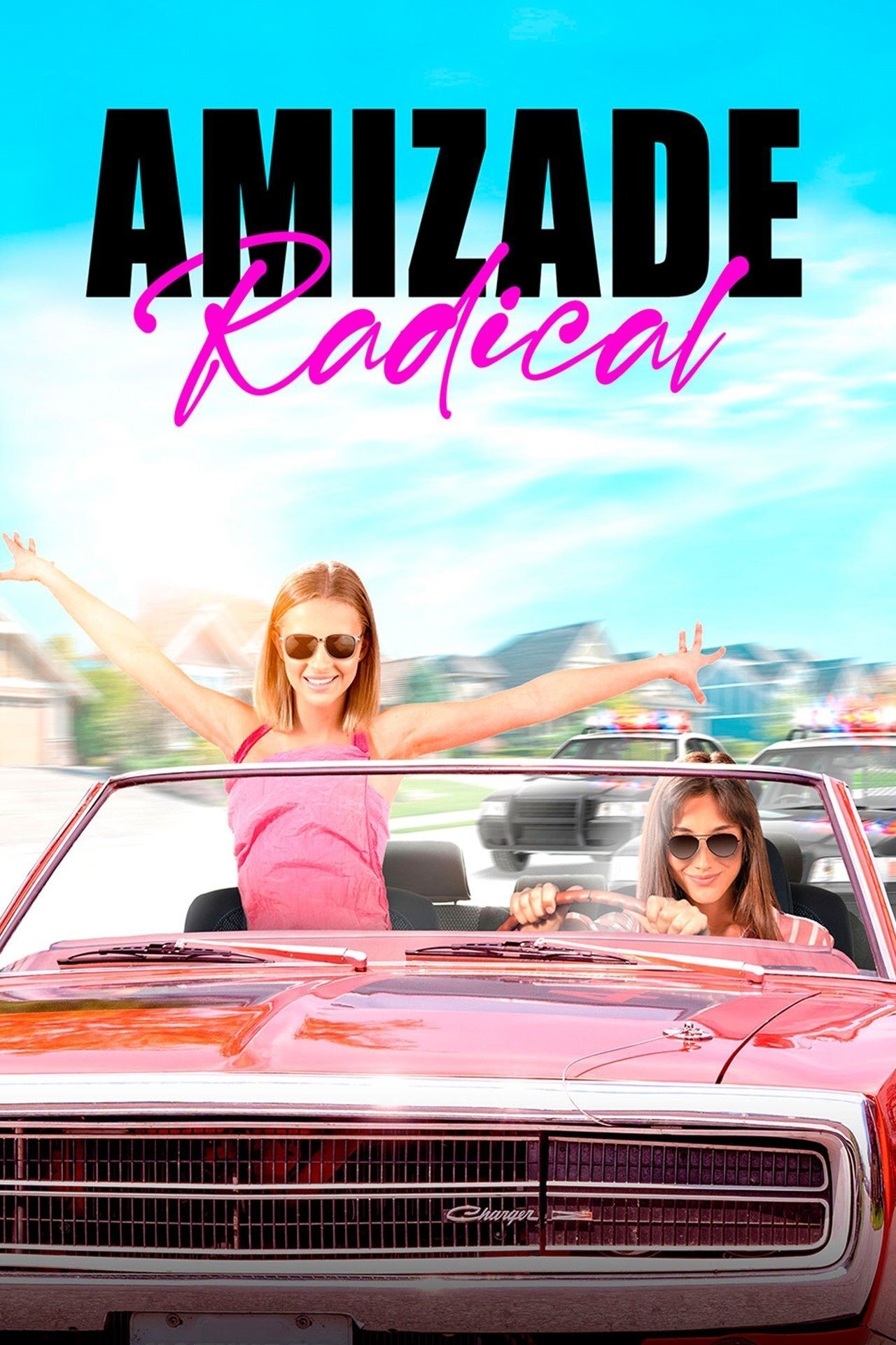 Poster de Amizade Radical