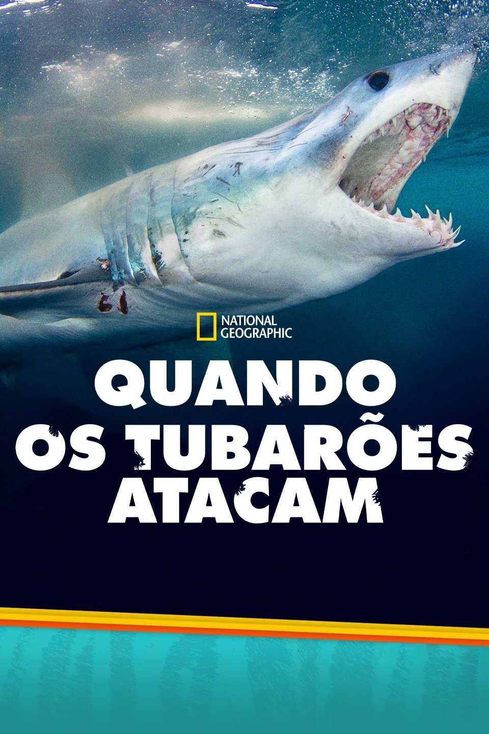 Poster de Temporada 4