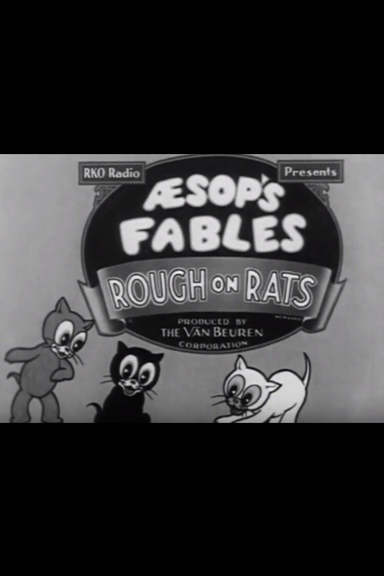 Poster de Rough on Rats