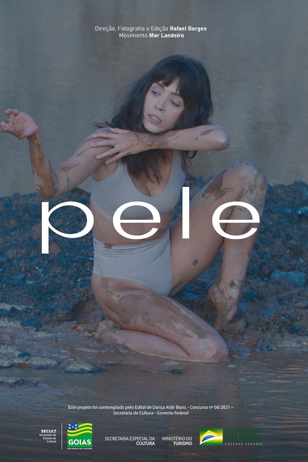 Poster de PELE