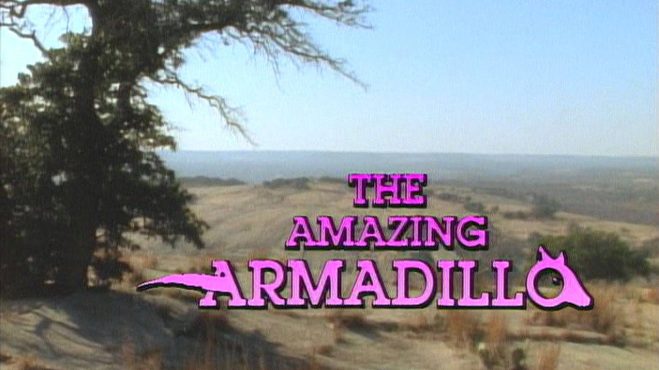 The Amazing Armadillo