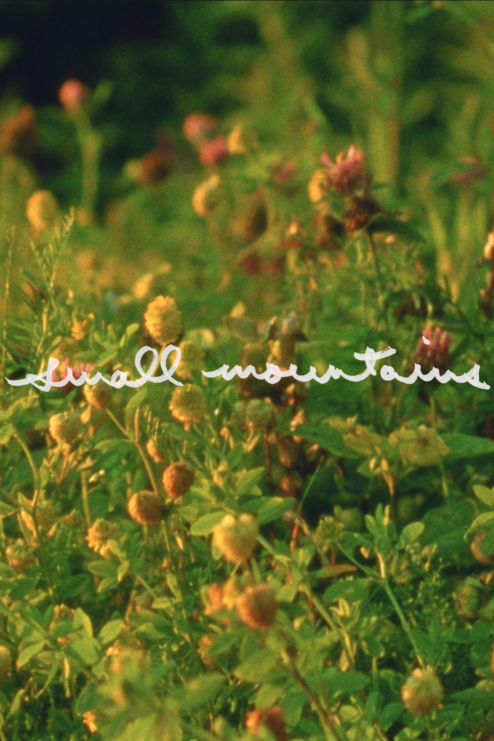 Poster de Small Mountains