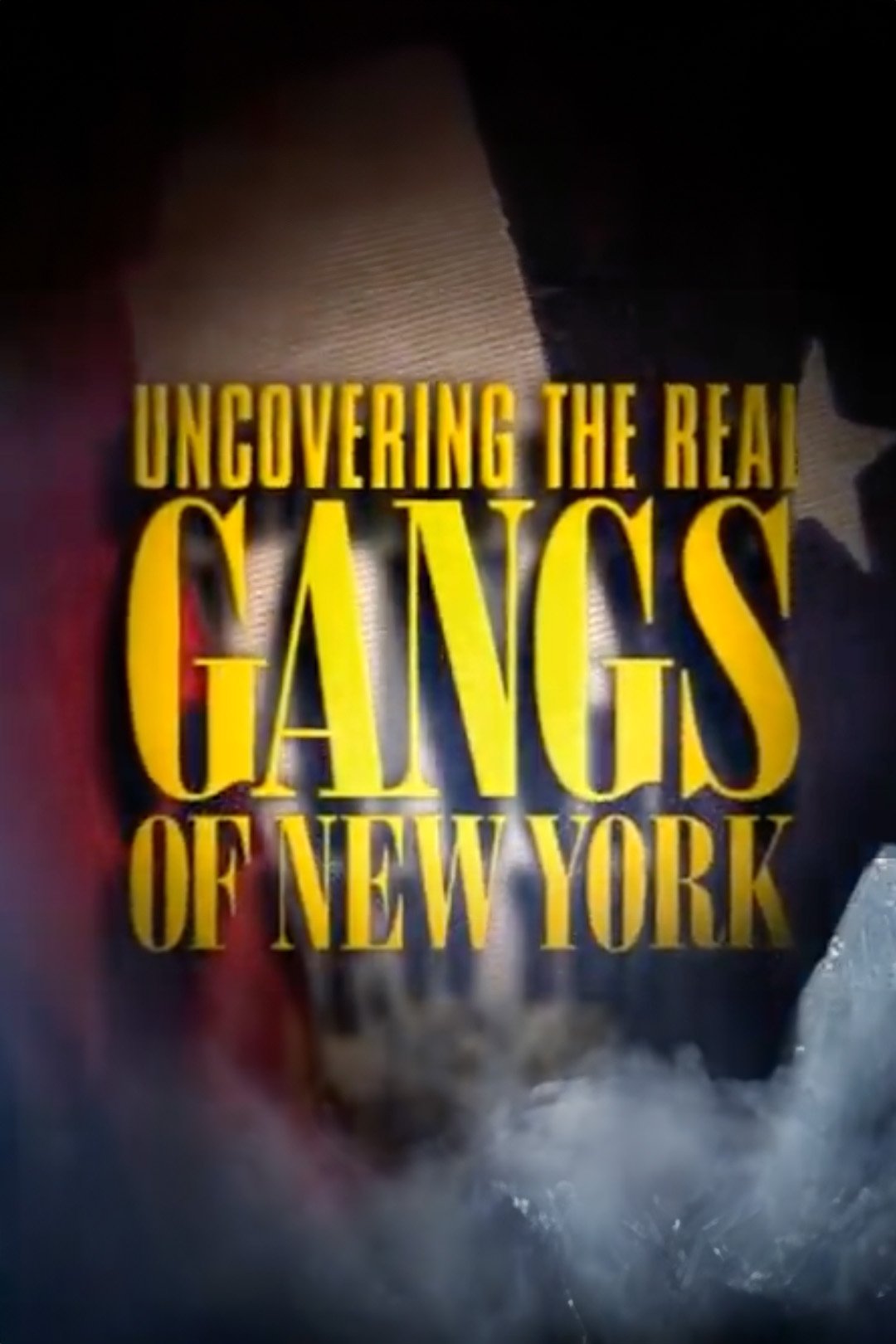 Poster de Uncovering the Real Gangs of New York
