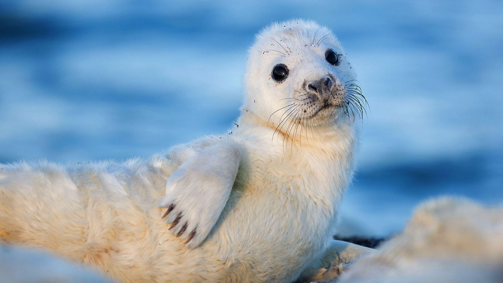 From Estonia to Finland