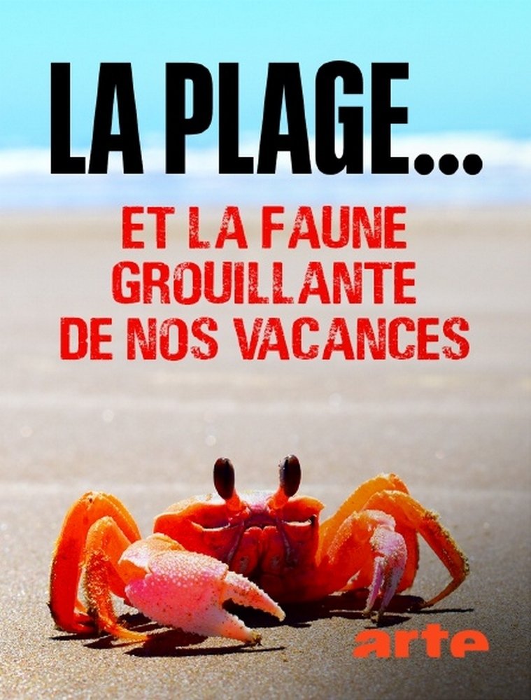 Poster de Der Strand: Tierisches aus dem Ferienparadies
