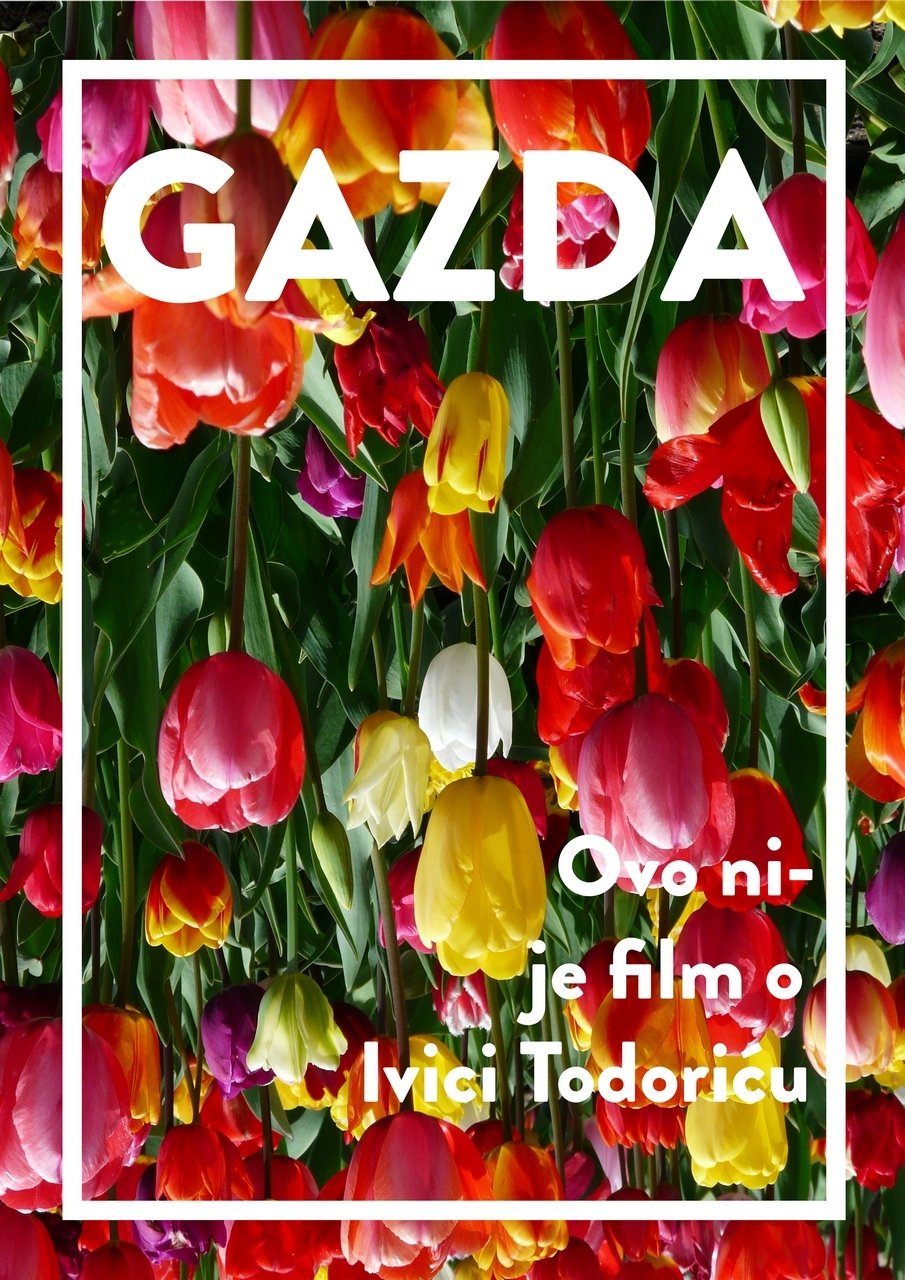 Poster de Gazda
