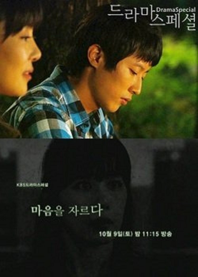 Poster de 마음을 자르다