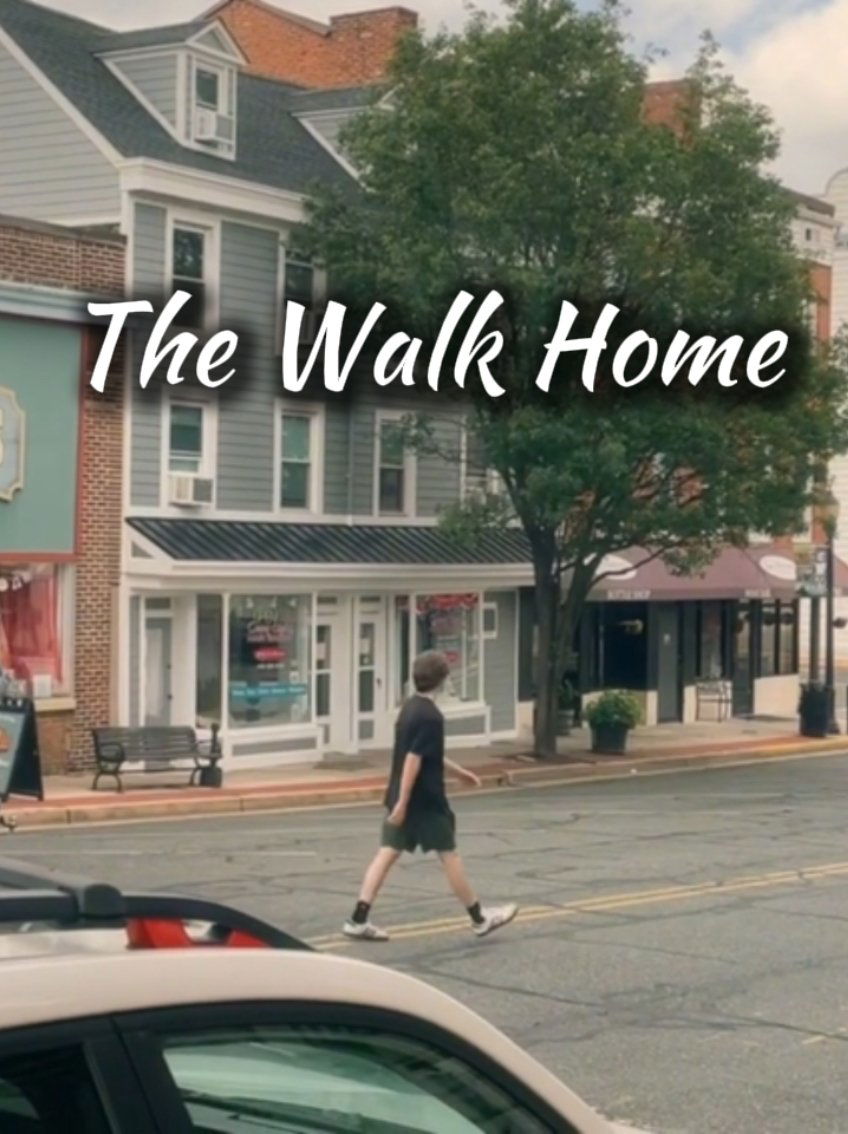 Poster de The Walk Home