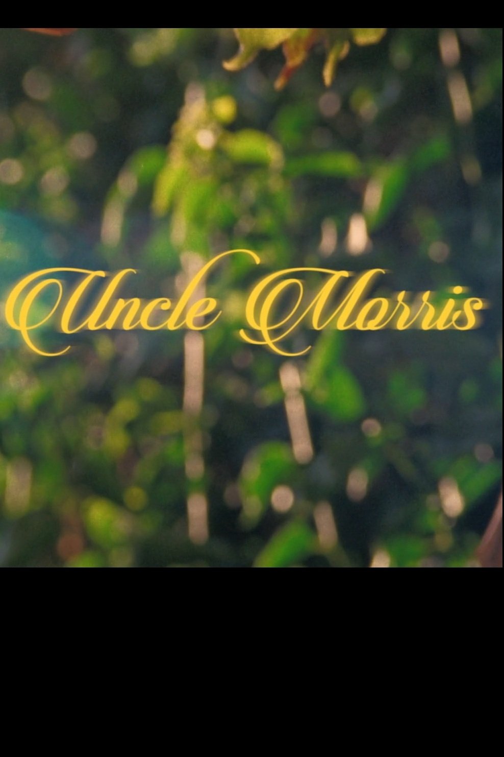Poster de Uncle Morris