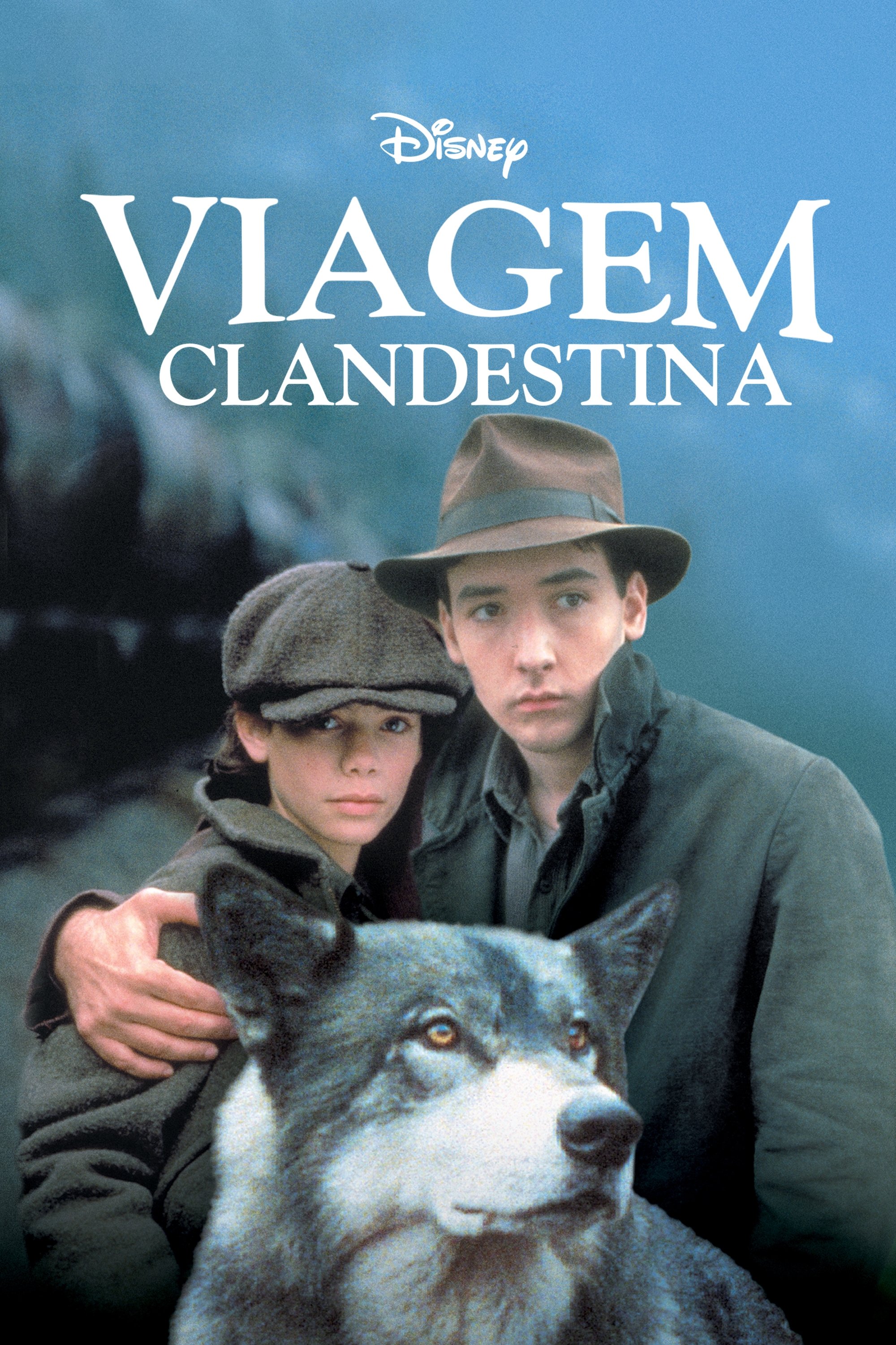 Poster de Viagem Clandestina