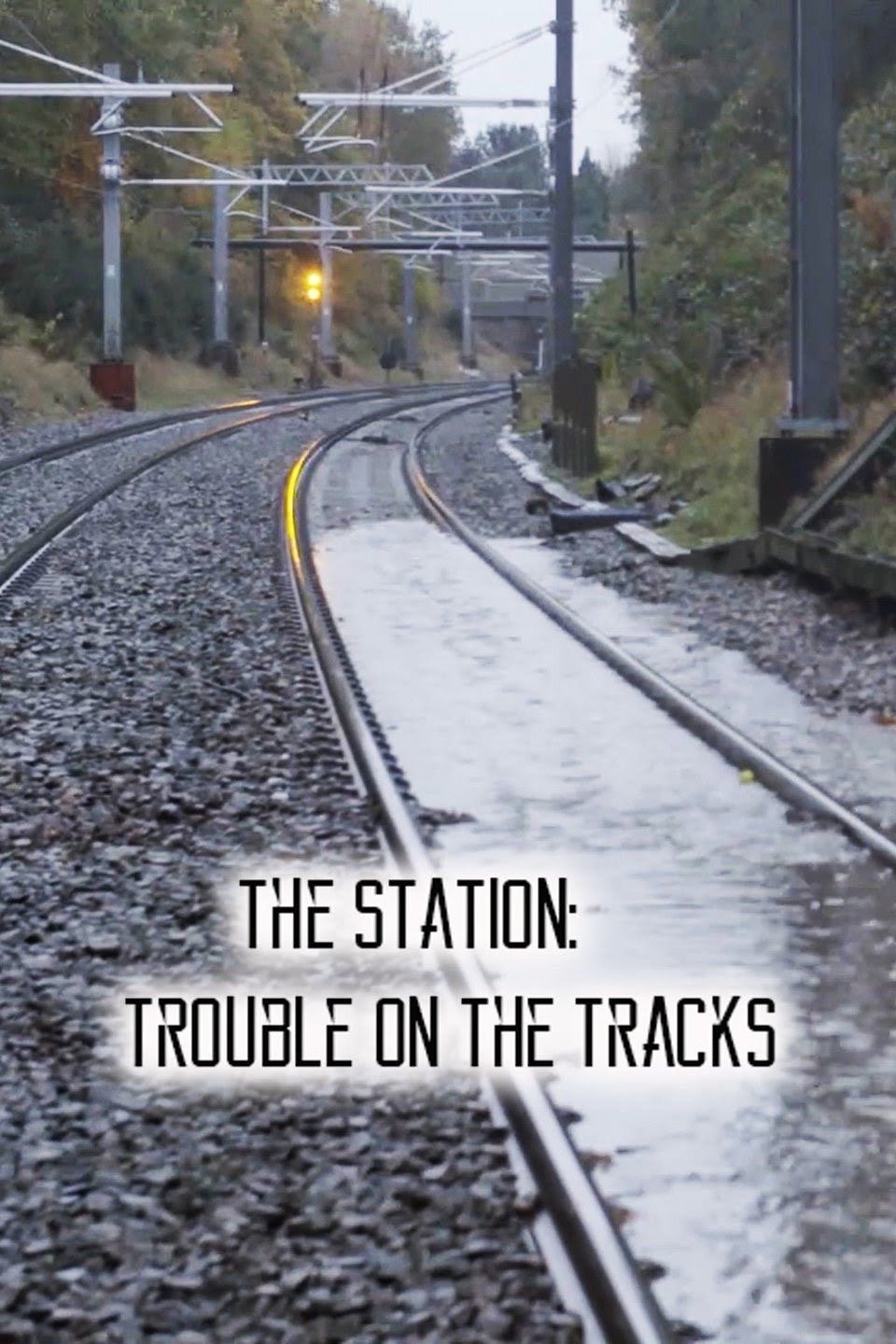 Poster de The Station: Trouble on the Tracks