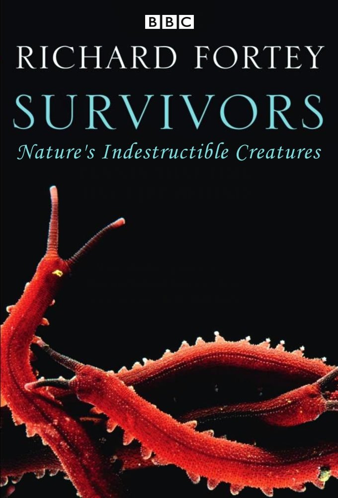 Poster de Survivors: Nature's Indestructible Creatures