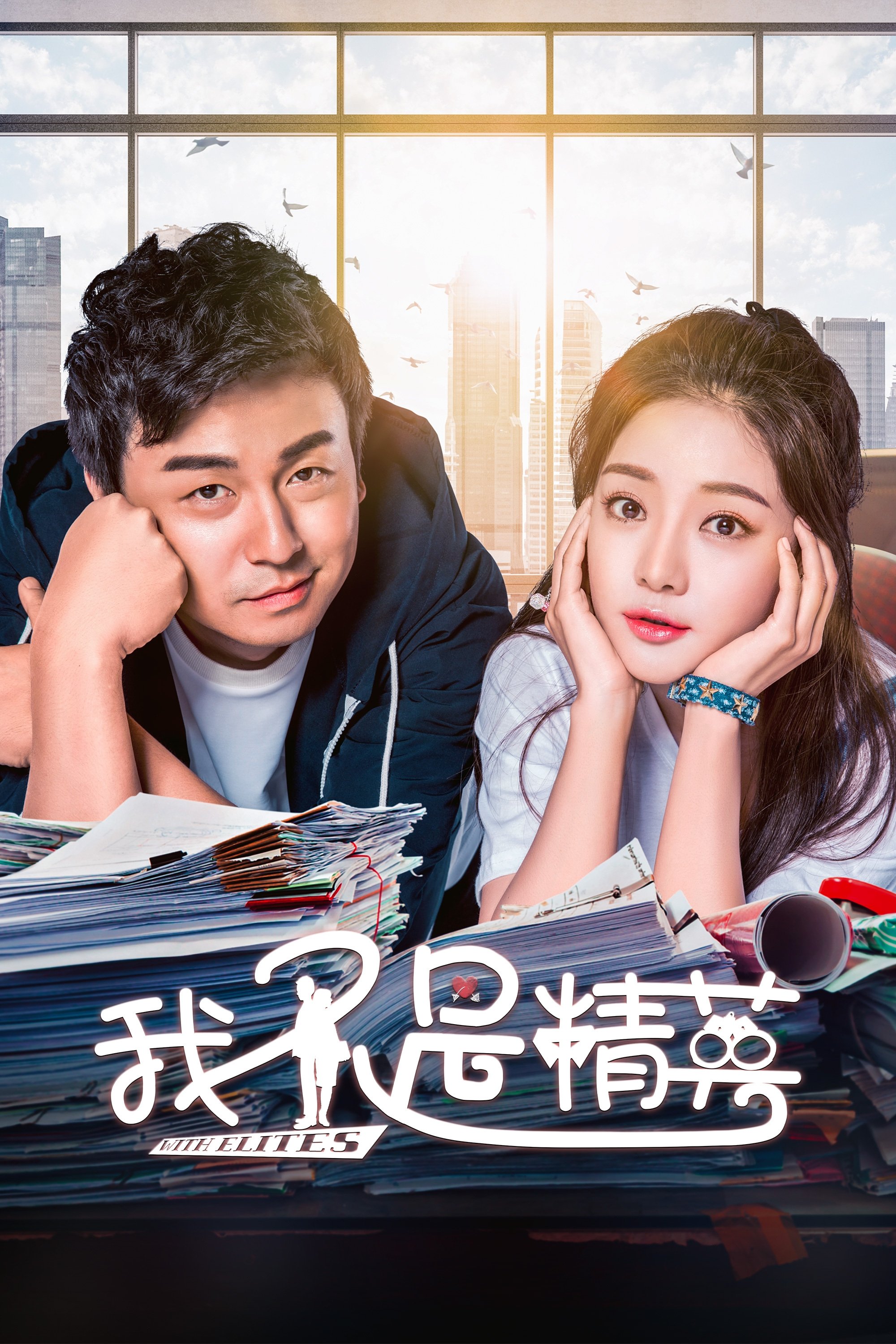 Poster de 我不是精英