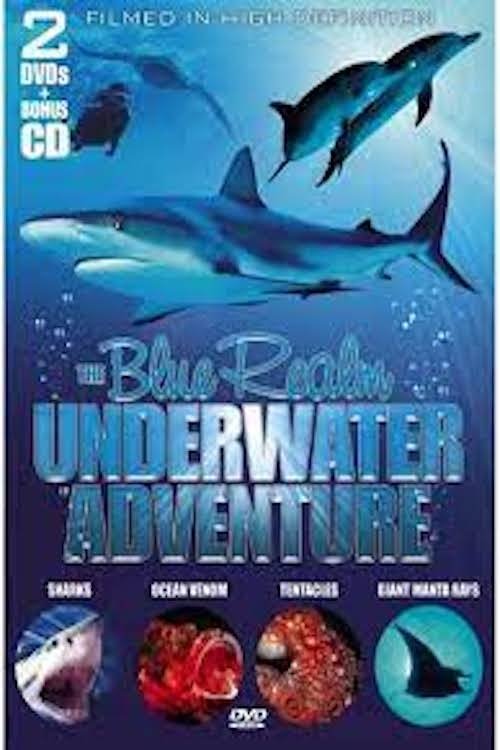 Poster de Ocean Odyssey: The Blue Realm