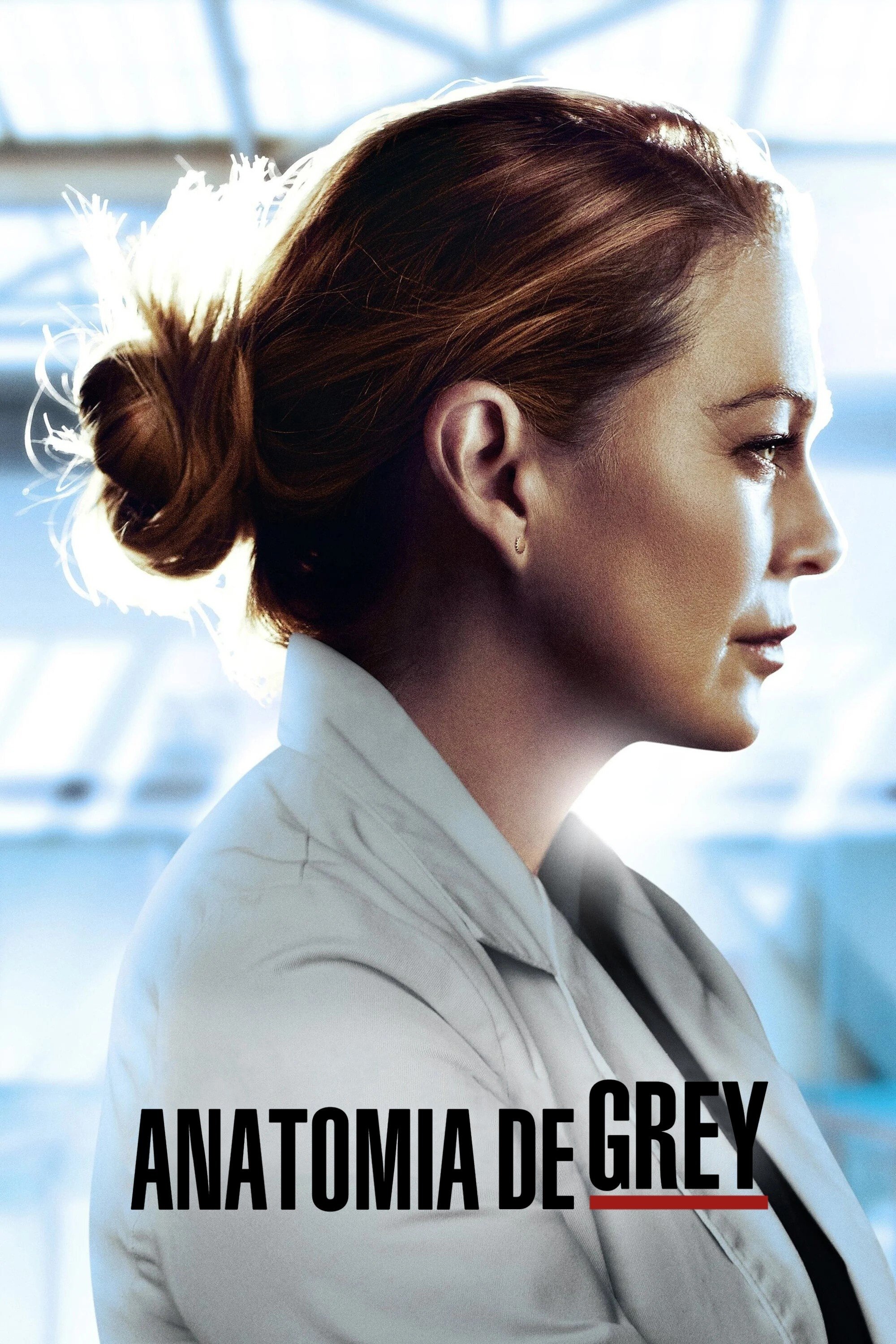 Poster de Temporada 17