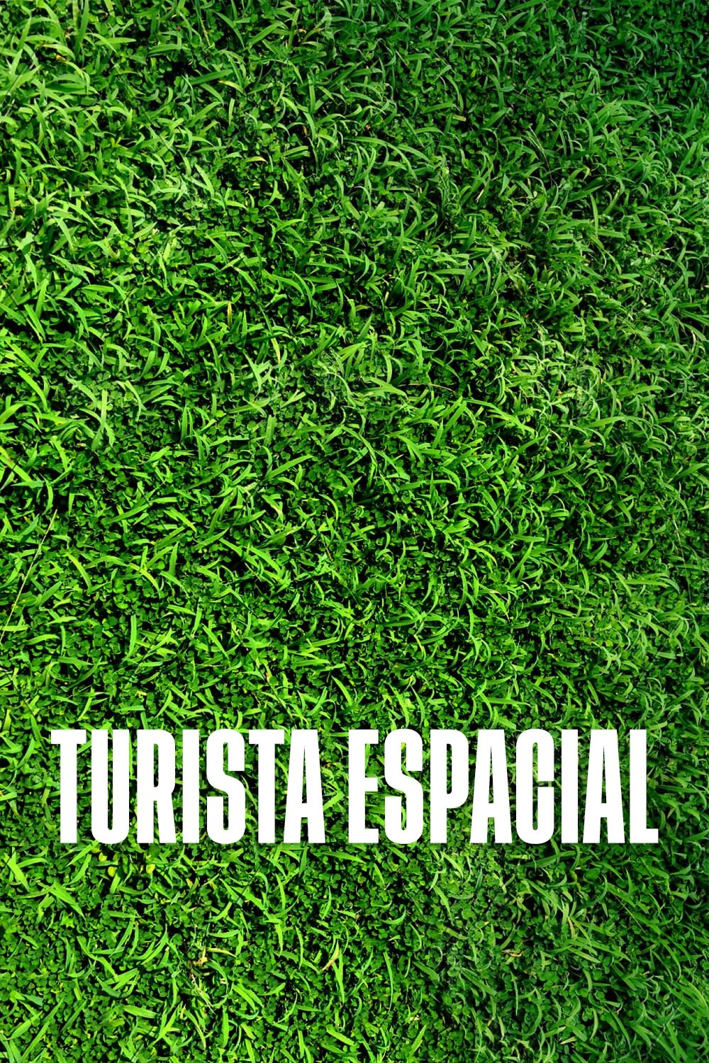 Poster de Turista Espacial
