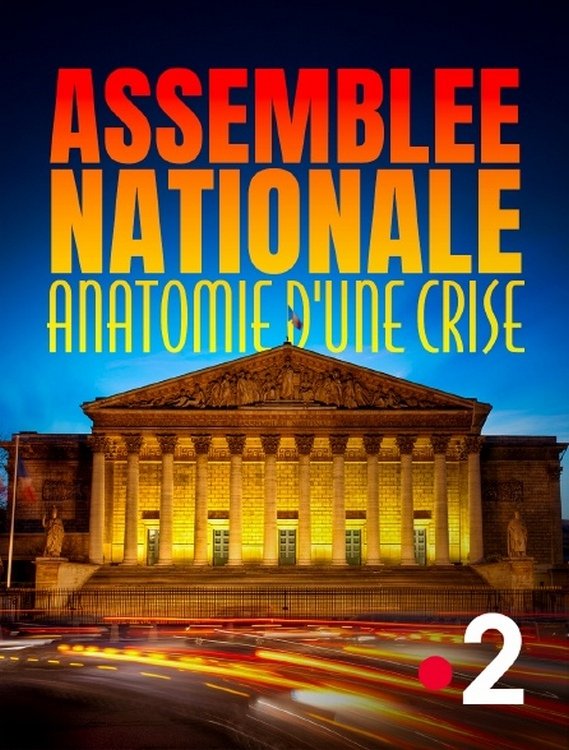 Poster de Assemblée nationale, anatomie d'une crise