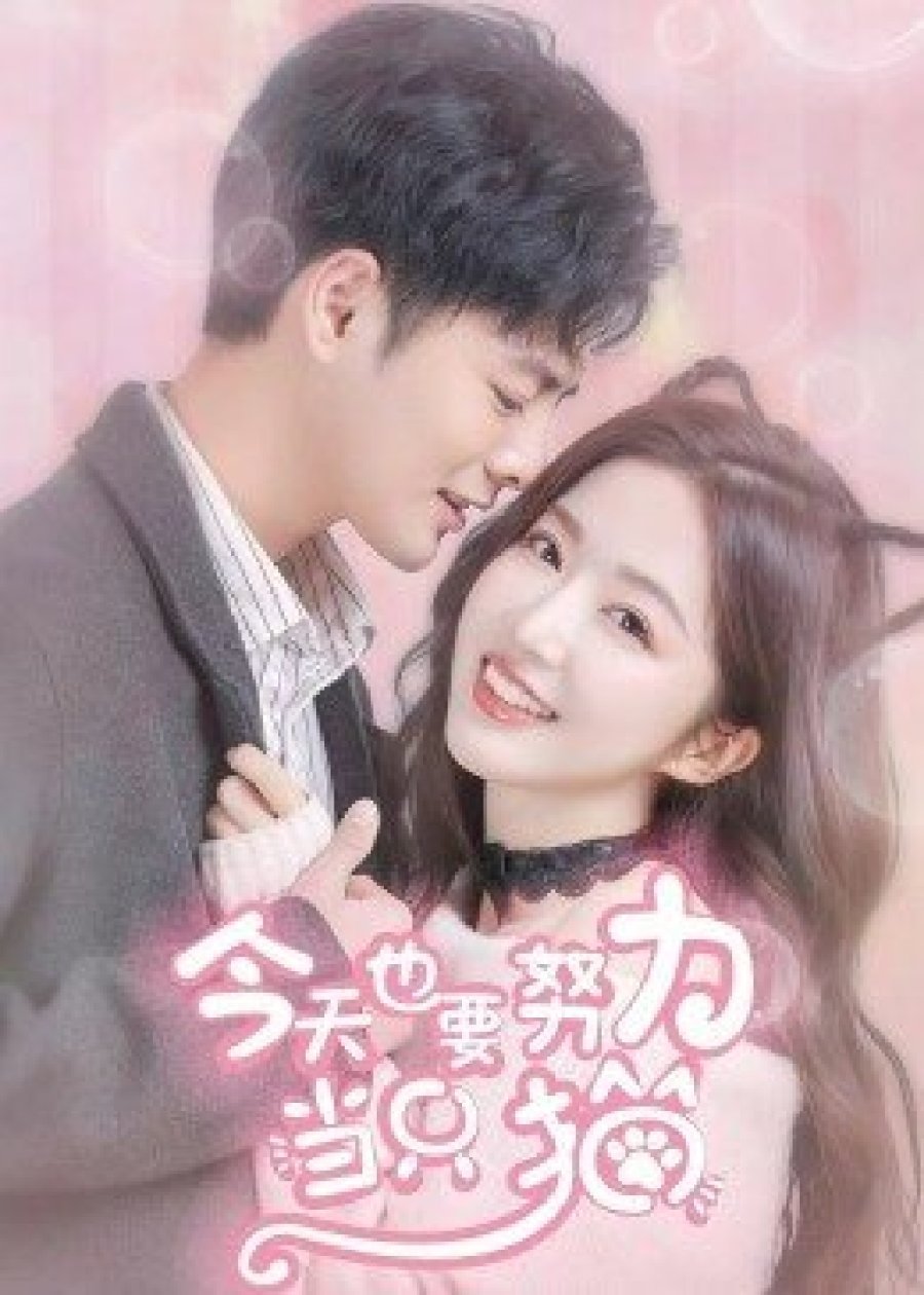 Poster de 今天也要努力当只猫