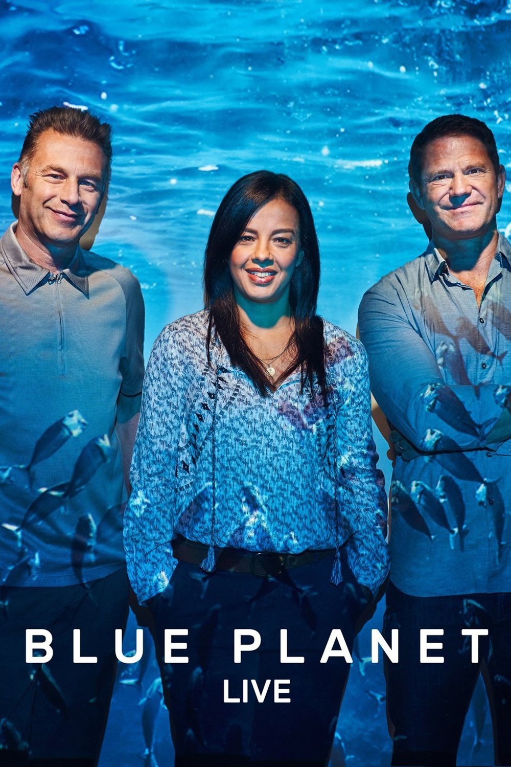 Poster de Temporada 1