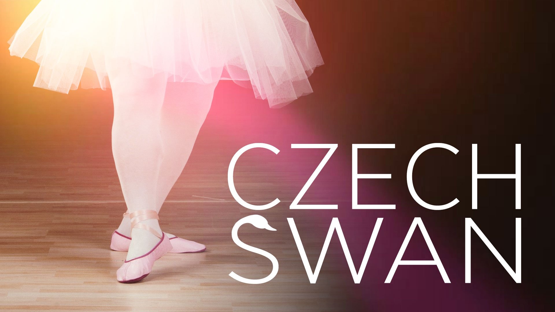 Czech Swan