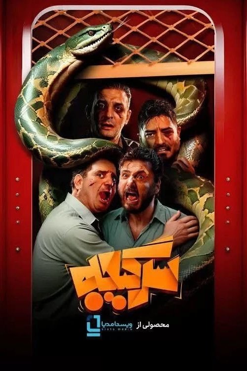 Poster de سرگیجه