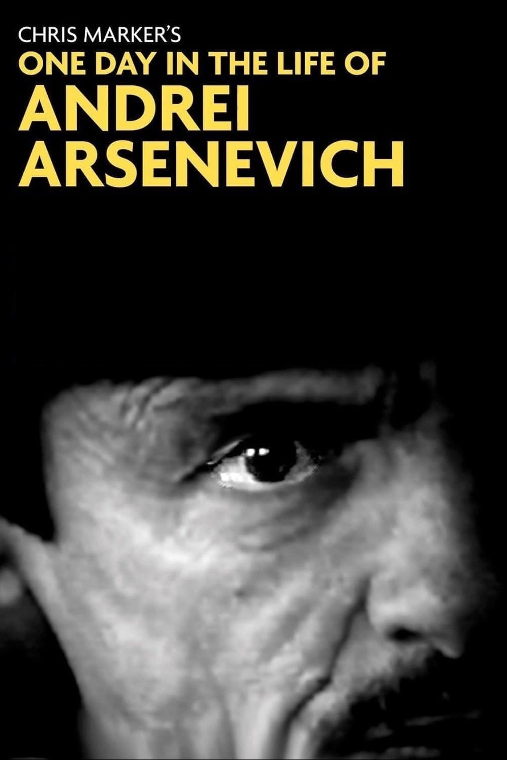 Affiche du film Une journée d'Andrei Arsenevitch