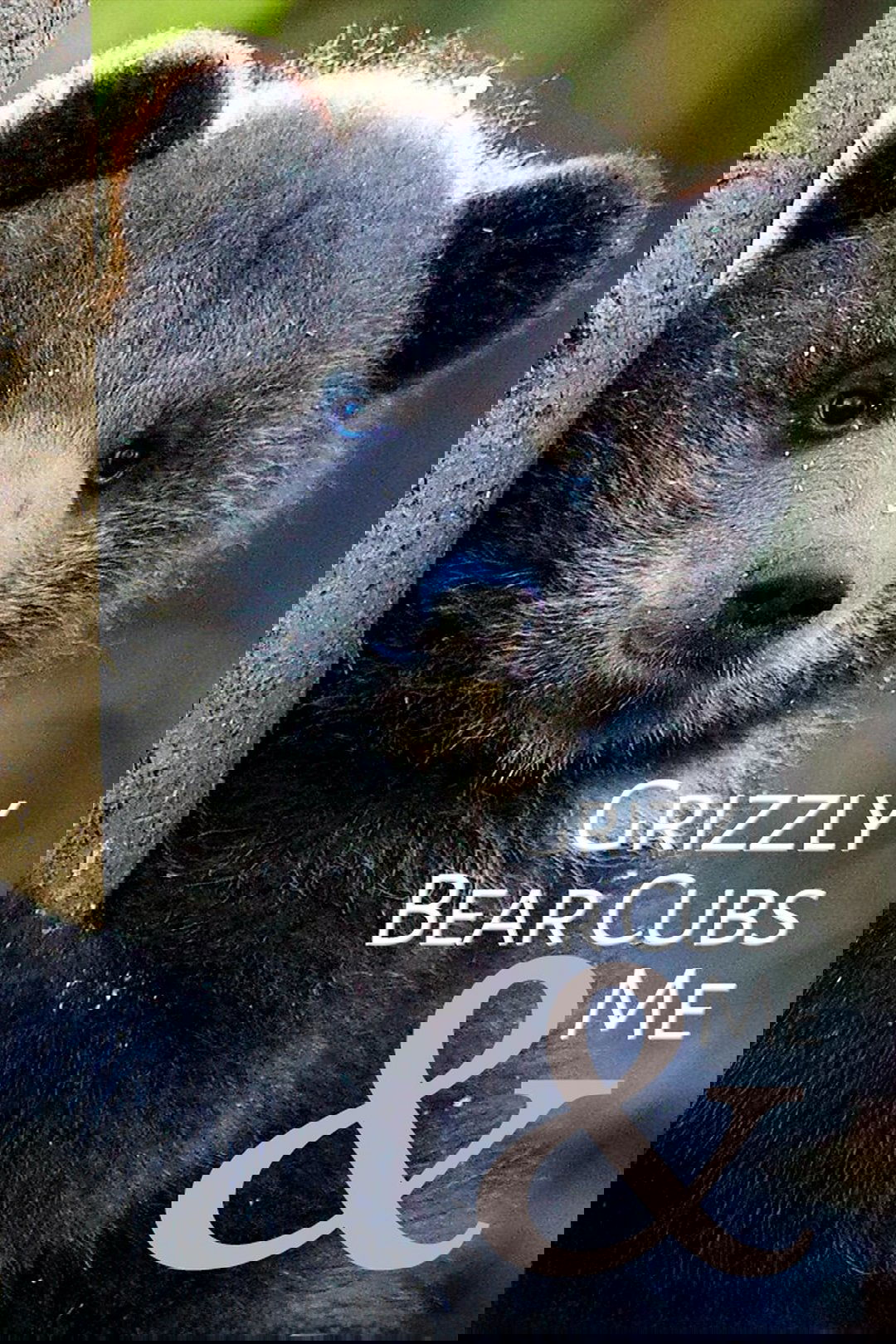 Poster of Grizzly Bear Cubs and Me