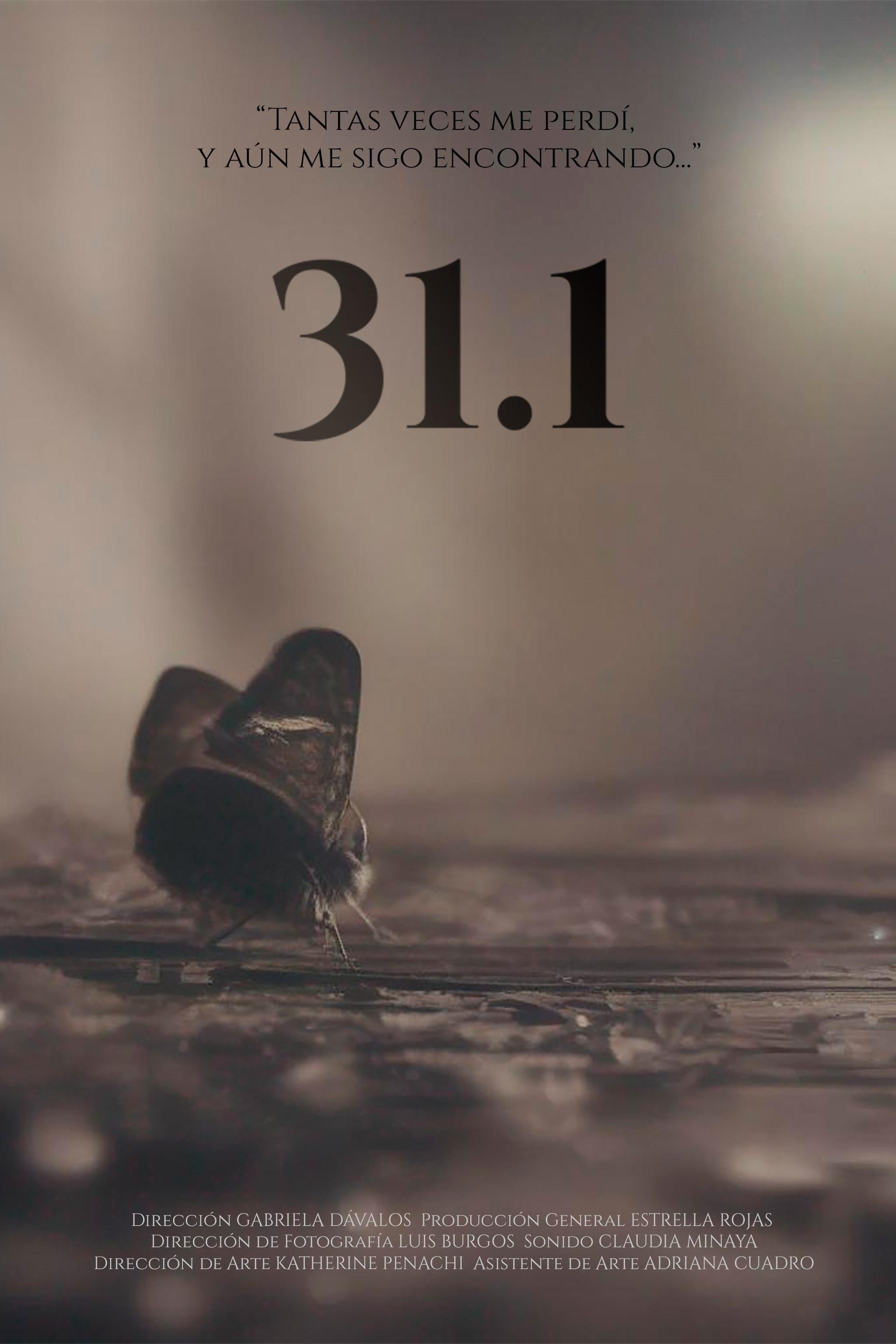 Poster de 31.1