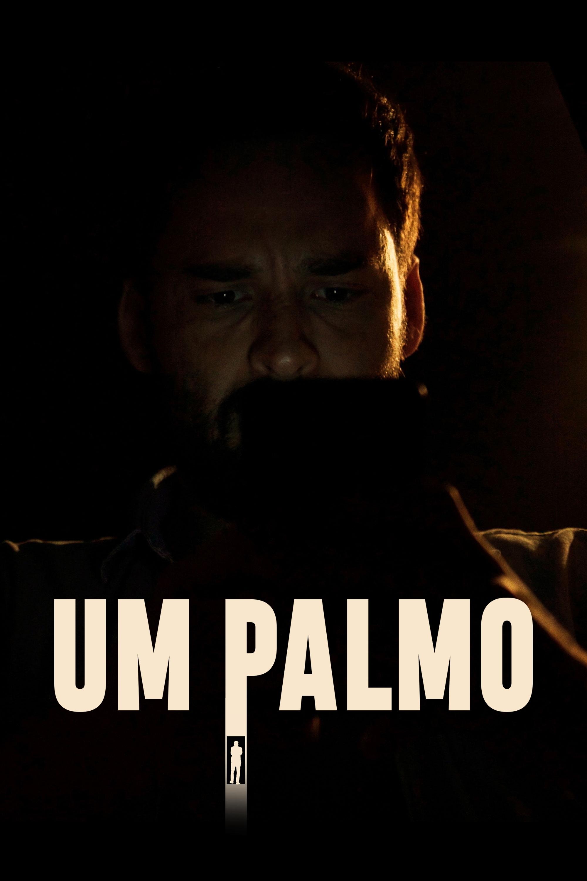 Poster de Um Palmo