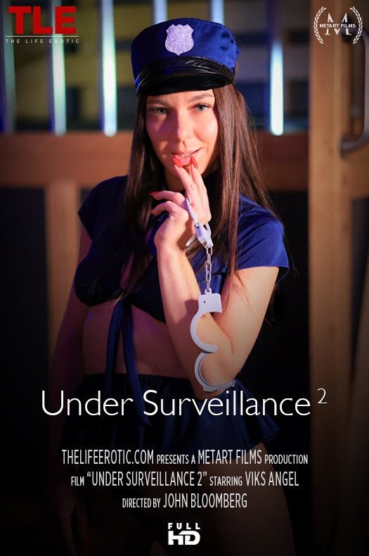 Poster de Under Surveillance 2