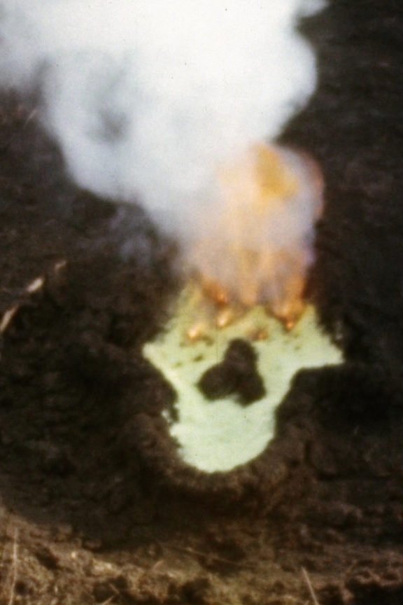 Poster de Fundamento Palo Monte (Silueta Series, Gunpowder Works)