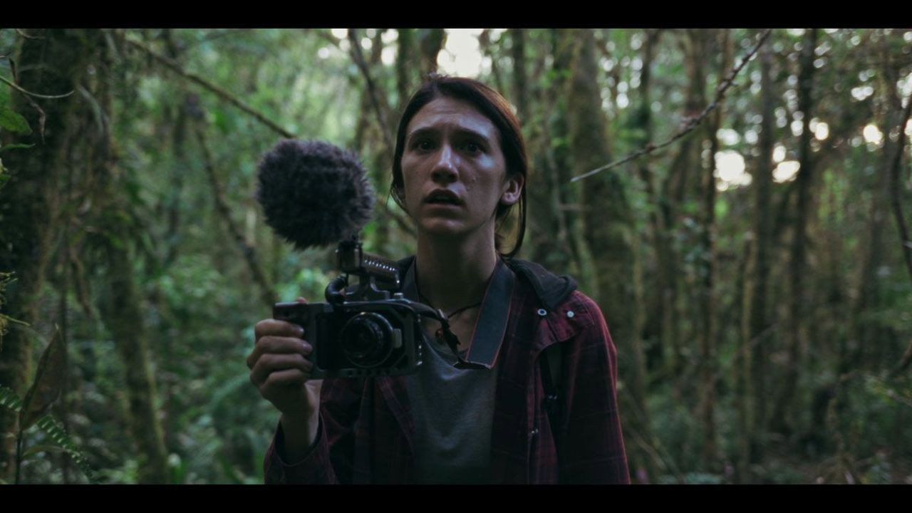 Director